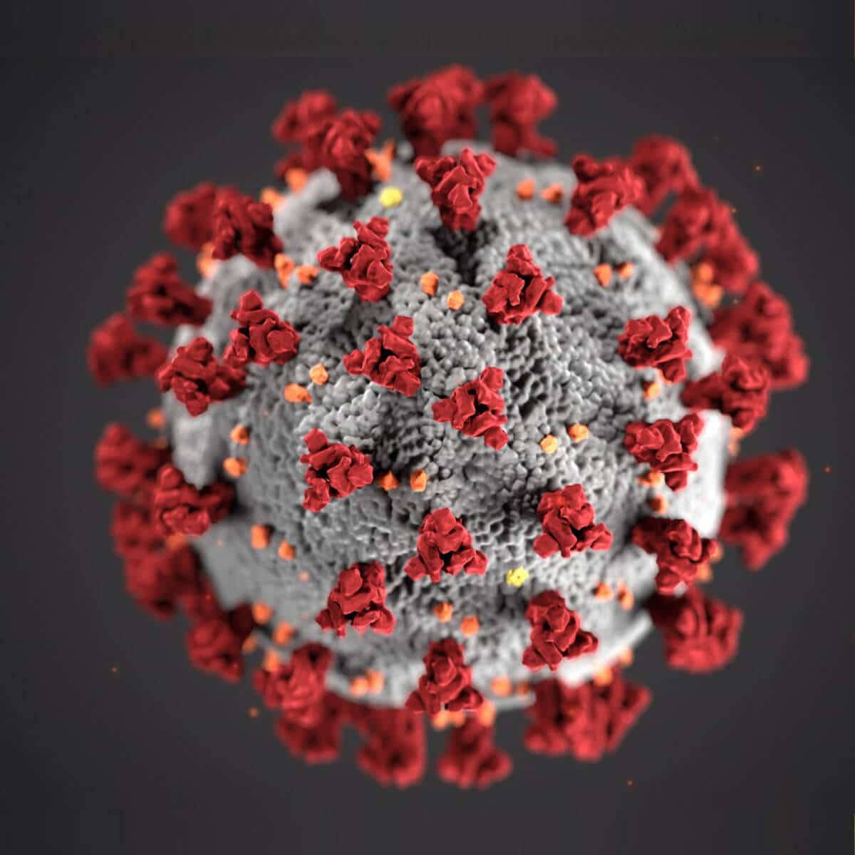 למה אני צריך תוכן ויראלי בדף הפייסבוק של העסק שלי?