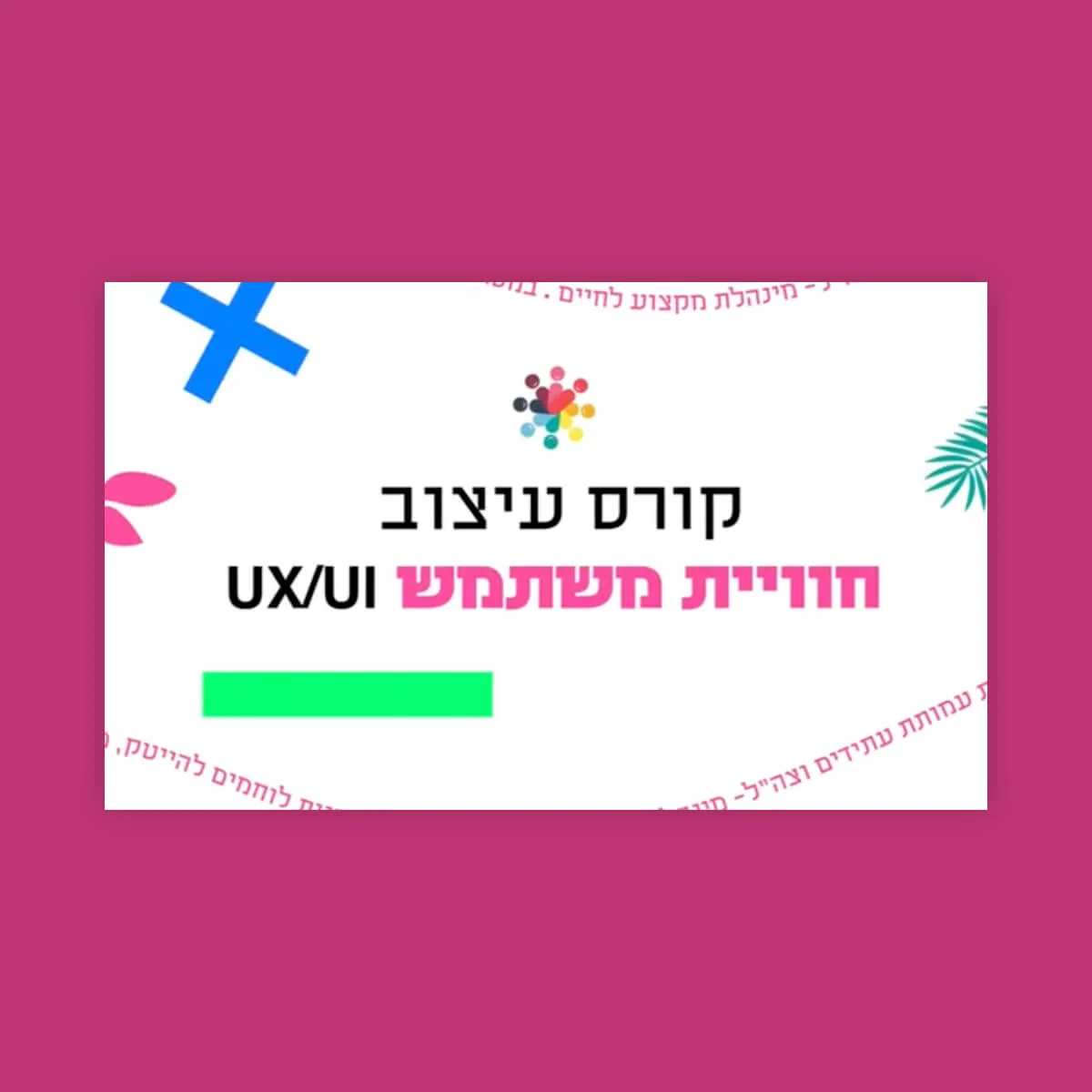 צוות, bviral, marketing firm, פורטפטליו