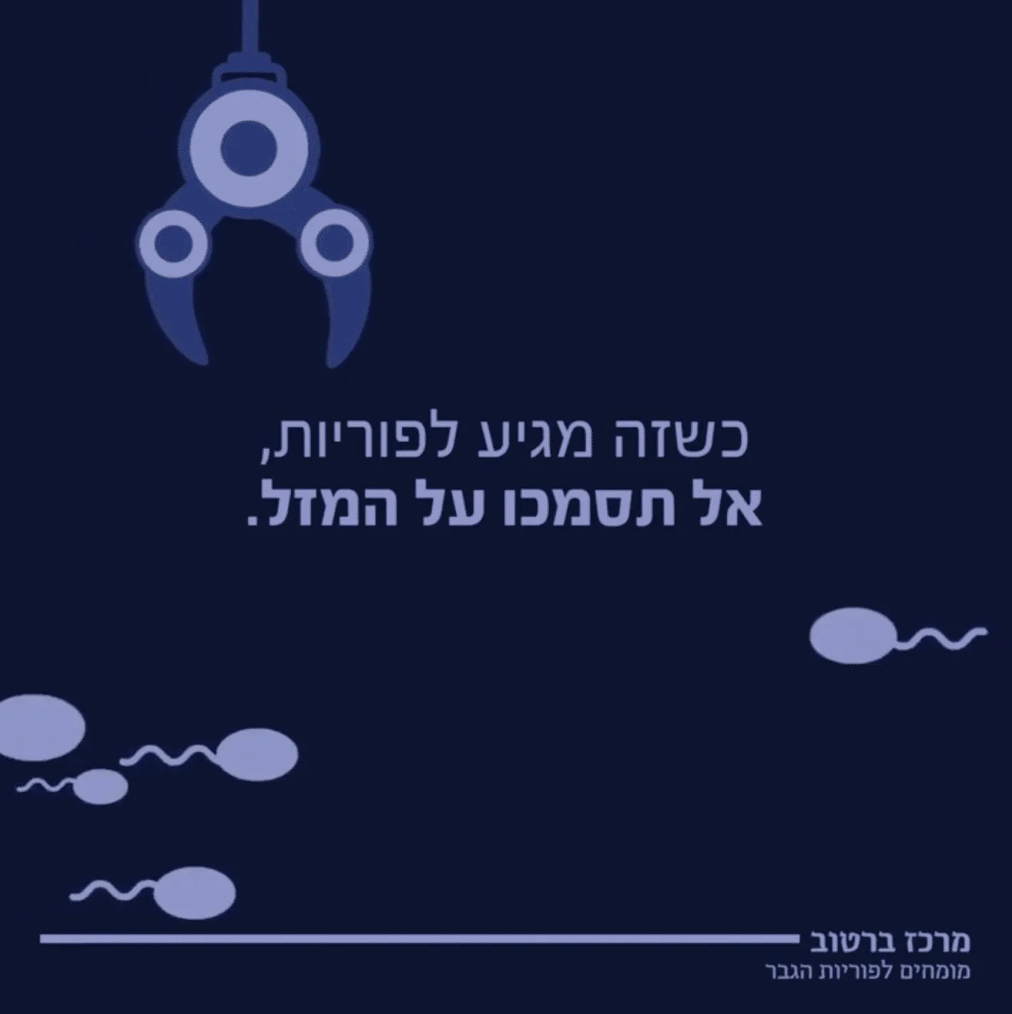 צוות, bviral, marketing firm, פורטפטליו