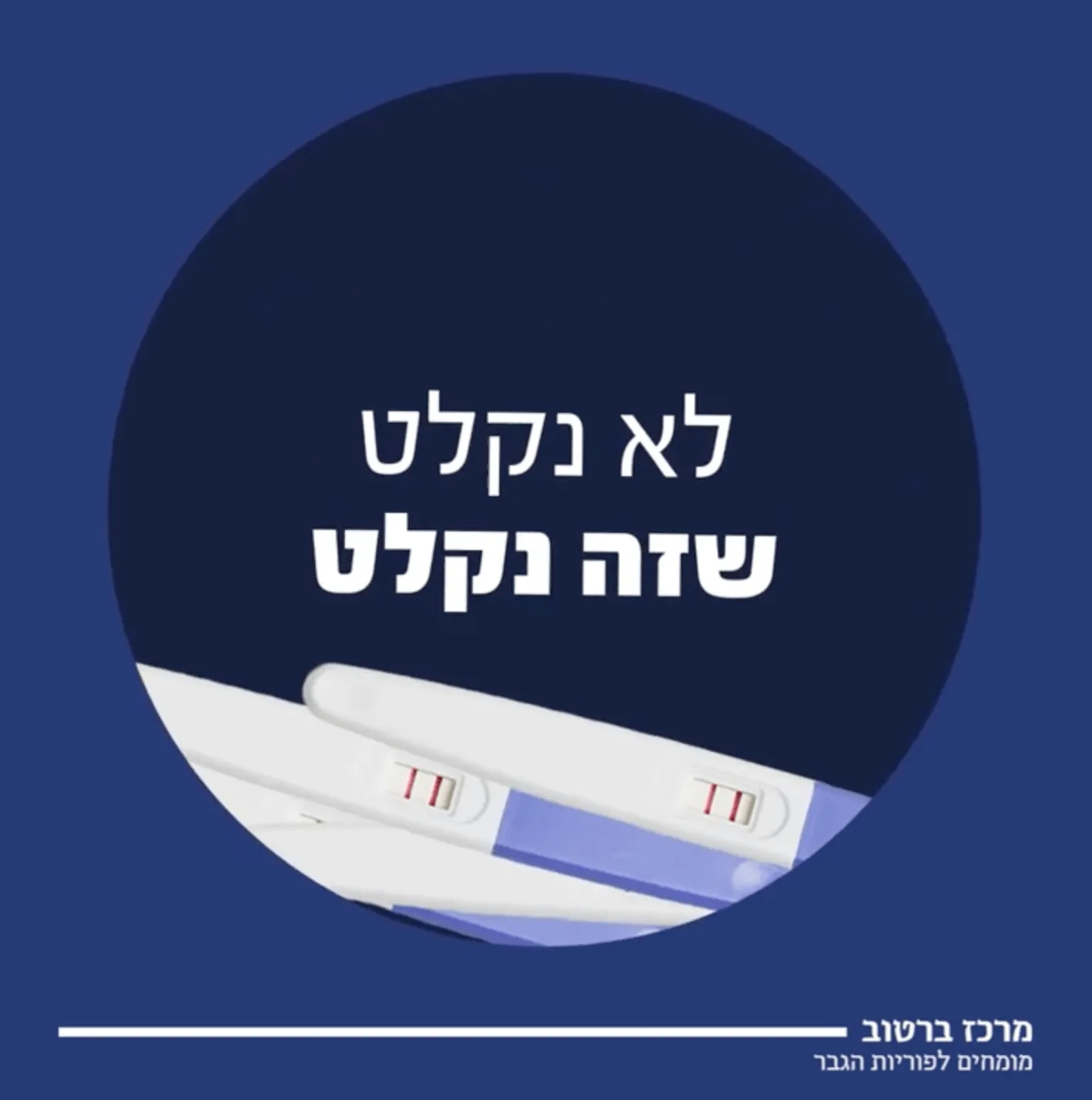 צוות, bviral, marketing firm, פורטפטליו