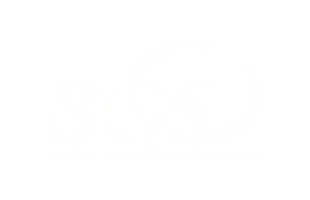 bos logo