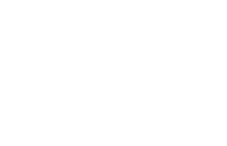logo dimri
