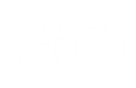 צוות, bviral, marketing firm, לוגו, לקוח