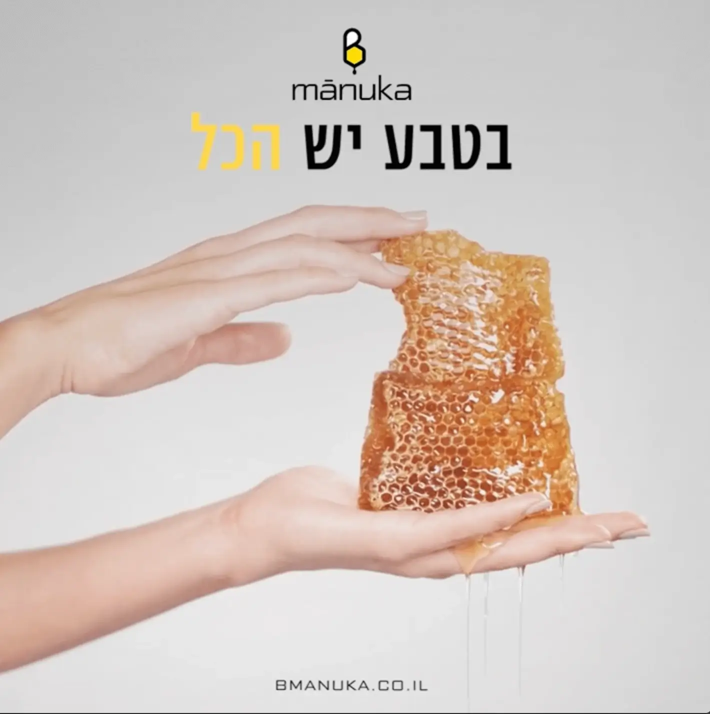 צוות, bviral, marketing firm, פורטפטליו, שיווק