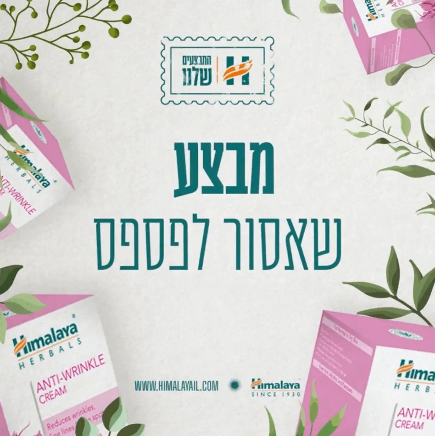 צוות, bviral, marketing firm, פורטפטליו, שיווק